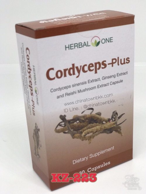 ถั่งเฉ้า-Cordycesps-Plus